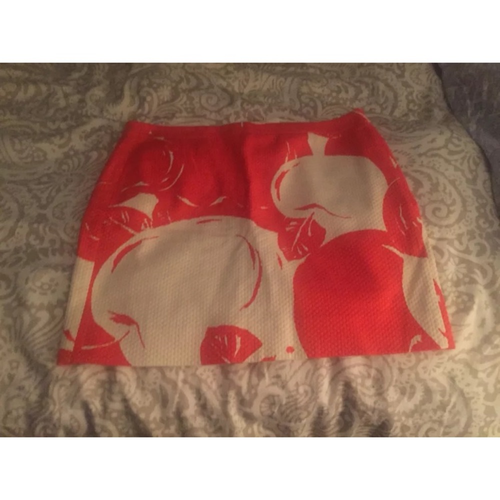 J crew skirt so cute size 2